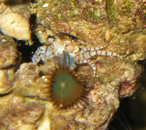 IMG_2116 (Medium).JPG