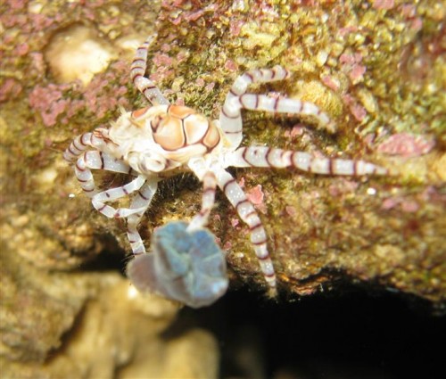 IMG_2117 (Medium).JPG