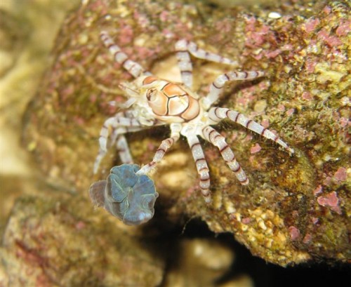 IMG_2118 (Medium).JPG