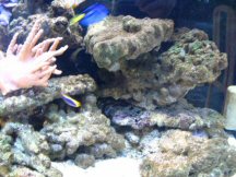 nyIMG_4296.jpg