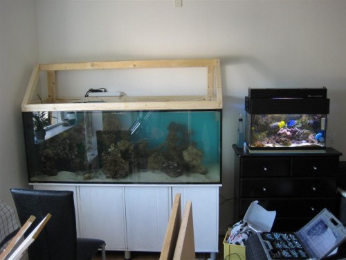 Billede 021 (Large).jpg