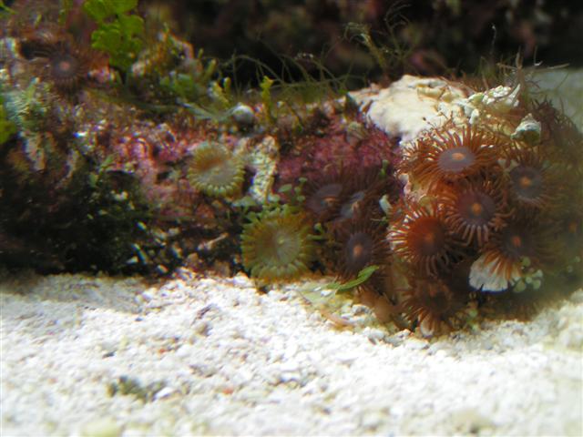PICT0246 (Small).JPG
