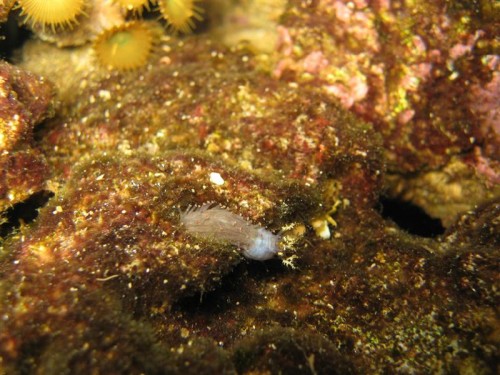 IMG_2089 (Medium).JPG