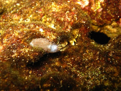 IMG_2095 (Medium).JPG