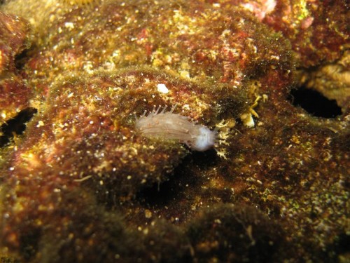 IMG_2090 (Medium).JPG