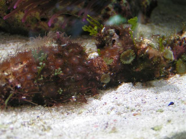 PICT0245 (Small).JPG