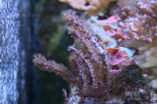 IMG_8183.jpg