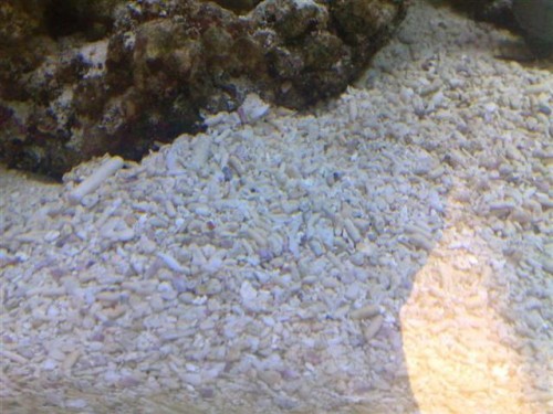 sand2.jpg
