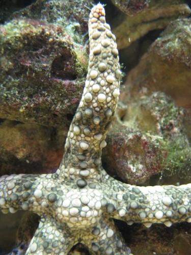 IMG_2217 (Medium).JPG