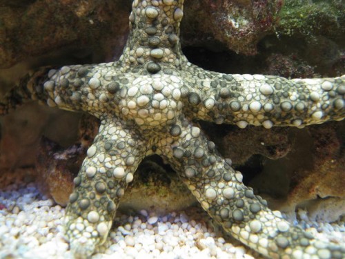 IMG_2214 (Medium).JPG