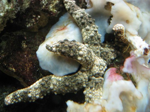 IMG_2212 (Medium).JPG