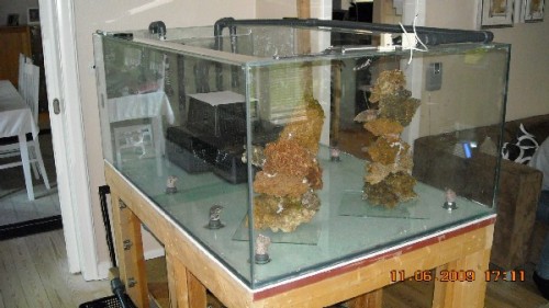 DSCN0375.jpg