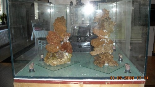 DSCN0378.jpg