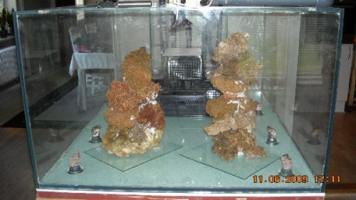 DSCN0379.jpg