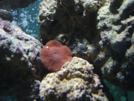 DSC06113.JPG