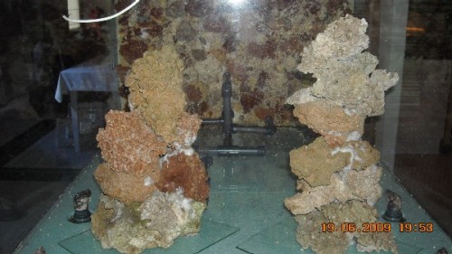 DSCN0387.jpg