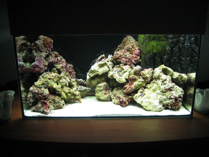 Nano akvarie 3.JPG