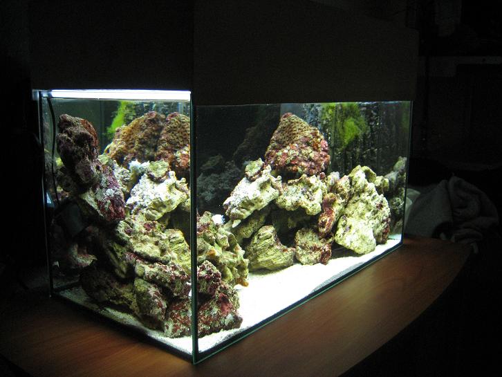 Nano akvarie 2.JPG