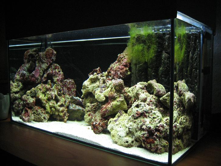 Nano akvarie.JPG