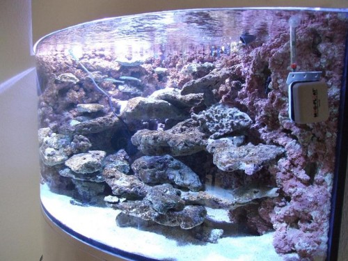 DSCF0824.JPG