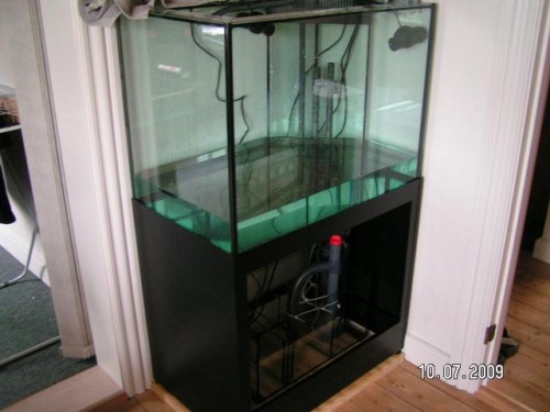 PICT2852.JPG (43.16 KiB) Vist 3174 gange Det første vand kommer i.