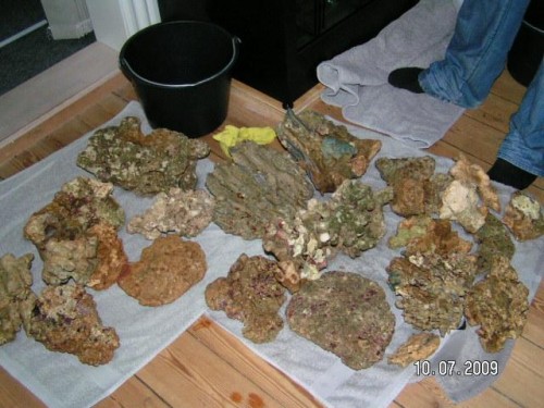 PICT2859.JPG (64.29 KiB) Vist 3174 gange Lidt sten.