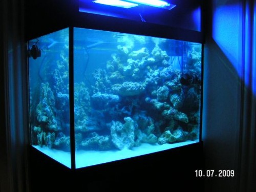 PICT2863.JPG (46.76 KiB) Vist 3174 gange Med lidt blå lys.