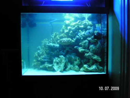 PICT2864.JPG (42.39 KiB) Vist 3174 gange Med hqi´en tændt.