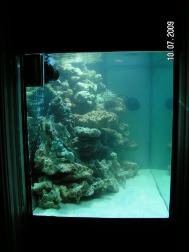 PICT2870.JPG (40.4 KiB) Vist 3174 gange Fra siden.