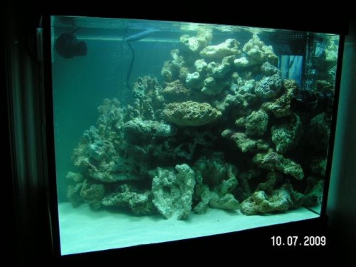 PICT2871.JPG (47.88 KiB) Vist 3174 gange Front.