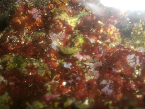 CIMG3866 (Medium).JPG