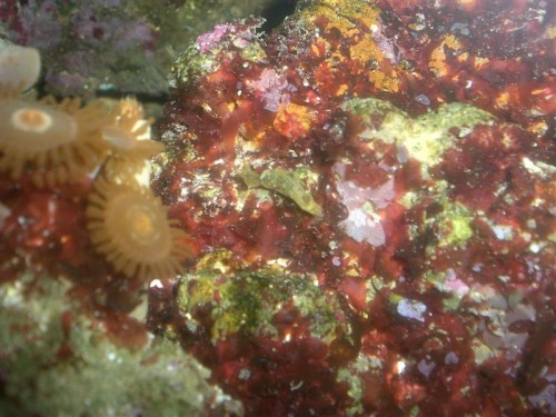 CIMG3868 (Medium).JPG