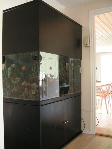 PICT0128.JPG