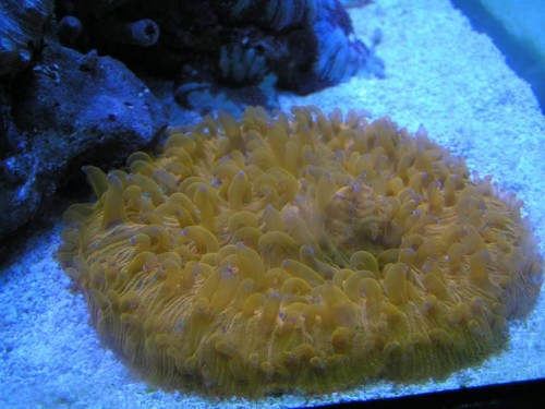 PICT0464.JPG