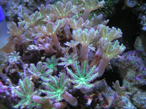PICT0457.JPG