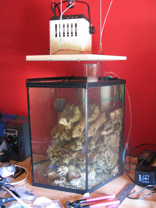Hele akvariet med lampen