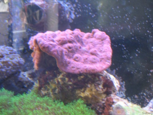 IMG_2835 [Forum].JPG