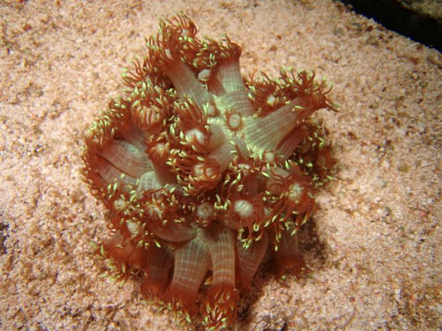 P1010062 (Small).JPG