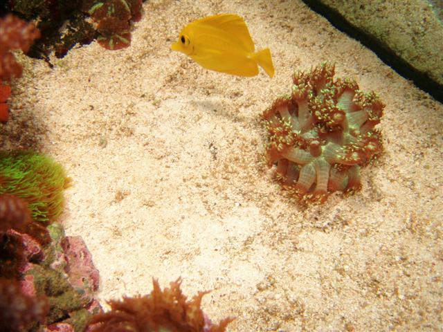 P1010055 (Small).JPG