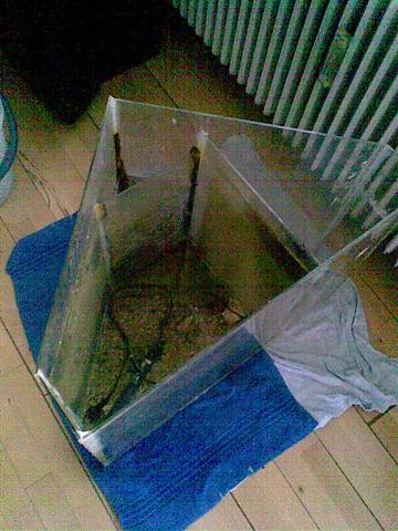 her er min lorte sump så efter jeg flåede den ud.. er nederste fuge på front glasset hvor et stykke på 2-3 cm er sluppet ser det ud til