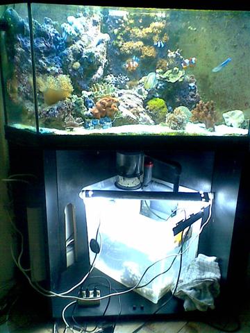 Billede024 (Small).jpg