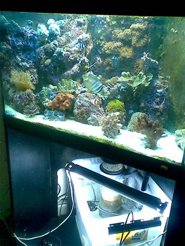 Billede013 (Small).jpg