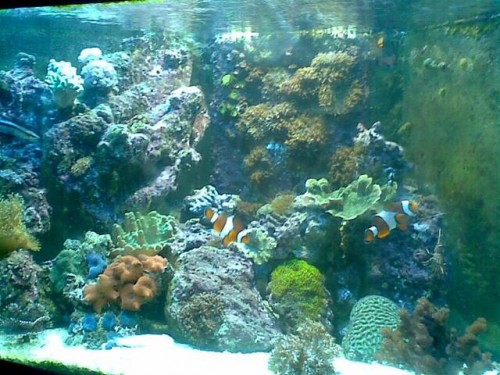 Billede012 (Small).jpg