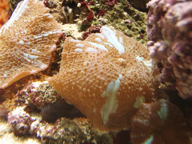 P1010016 (Small).JPG