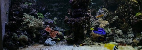 IMG_3770.JPG