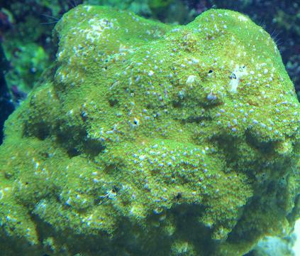 IMG_0352.JPG