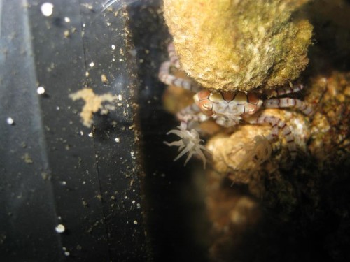 IMG_3735 (Medium).JPG