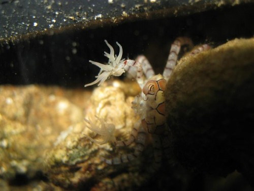 IMG_3736 (Medium).JPG