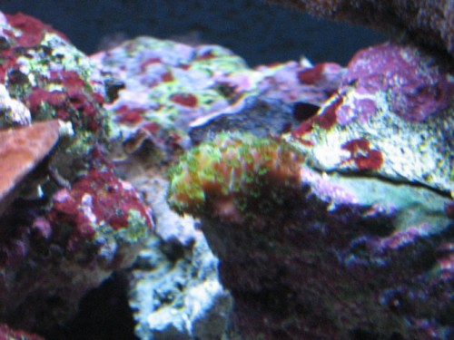 IMG_1383.JPG