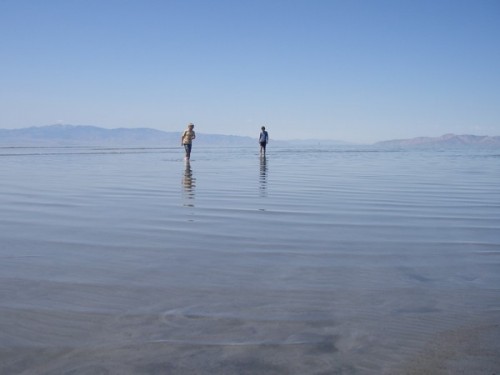 Mine drenge sopper rundt blandt artemia